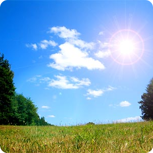 Weather